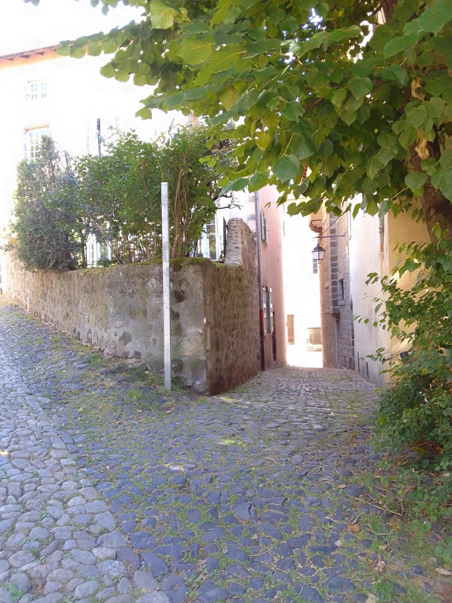 Le Relax Max Διαμέρισμα Le Puy-en-Velay Δωμάτιο φωτογραφία